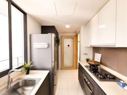 Esparina Residences (D19), Condominium #586176071